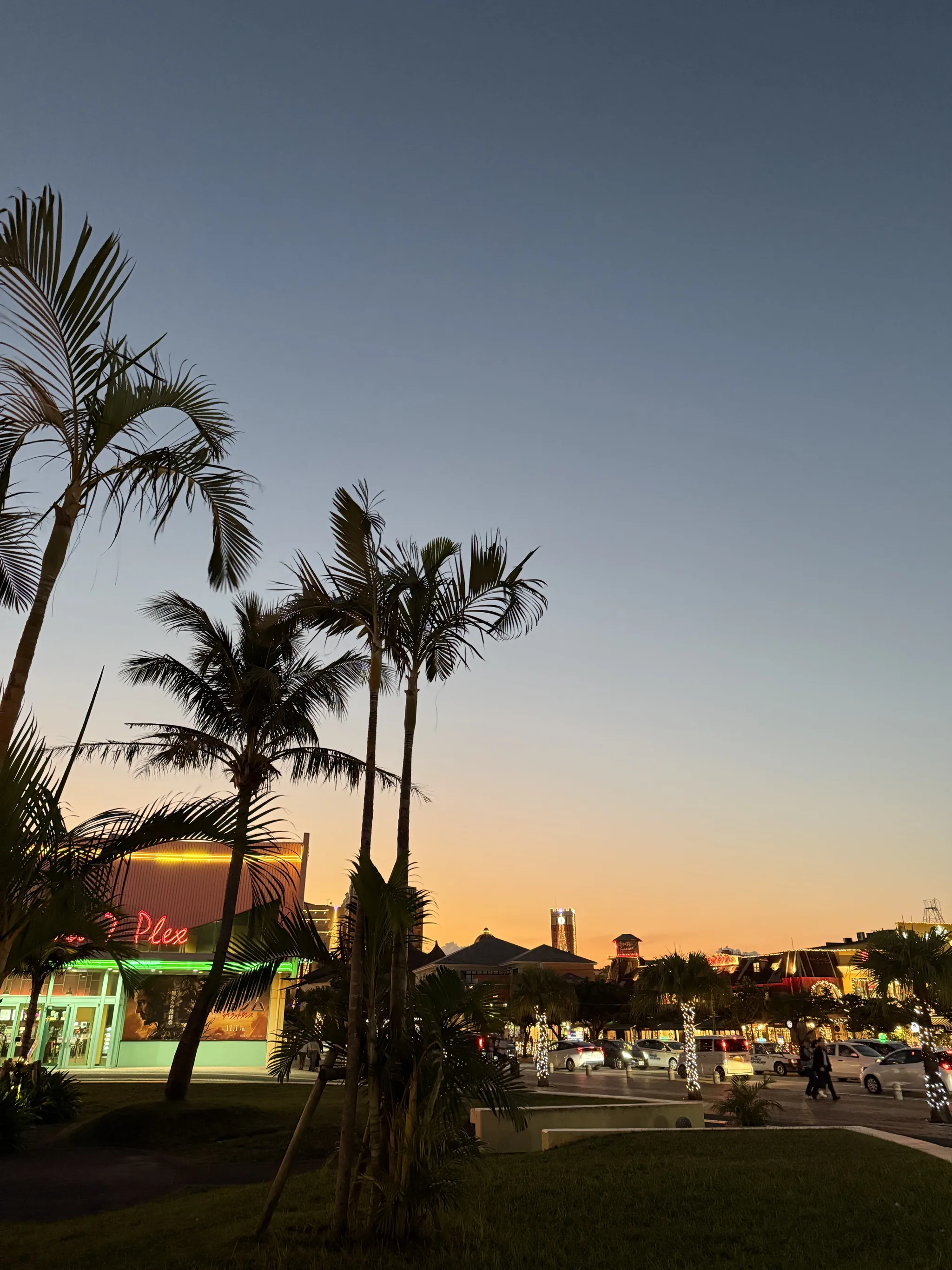 Neon and palm silhouettes at dusk in Chatan