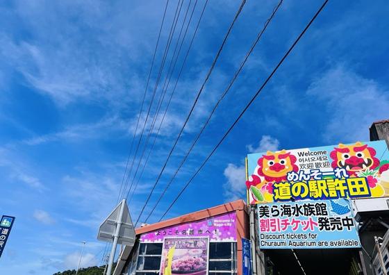 美ら海水族館