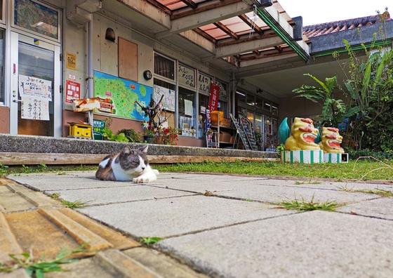 今帰仁の駅そ〜れ