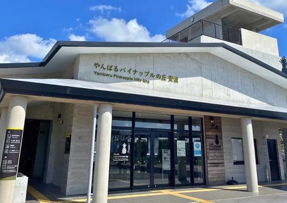 やんばるパイナップルの丘 安波
